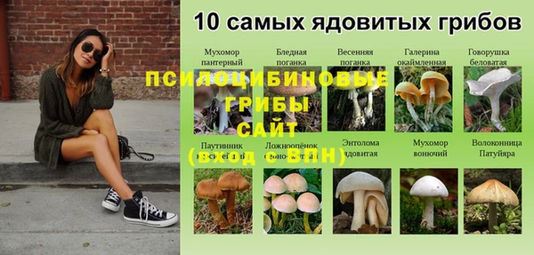 гашиш Кодинск