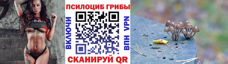 Псилоцибиновые грибы ЛСД  Купить  Гаджиево 